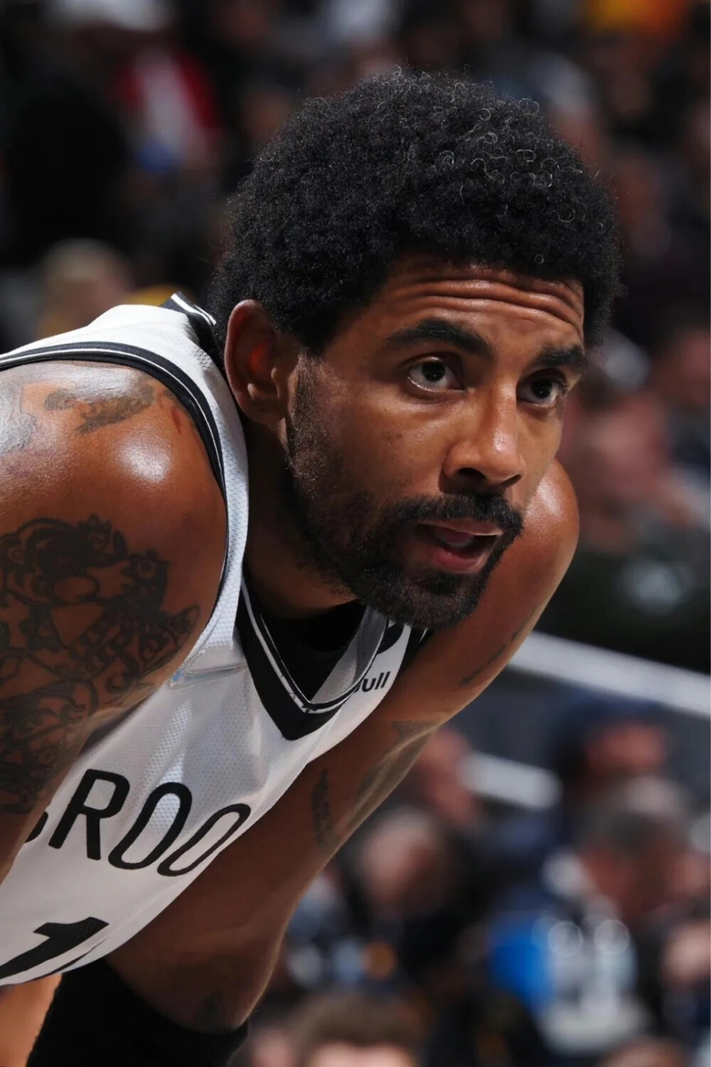 据化对比 据化对比