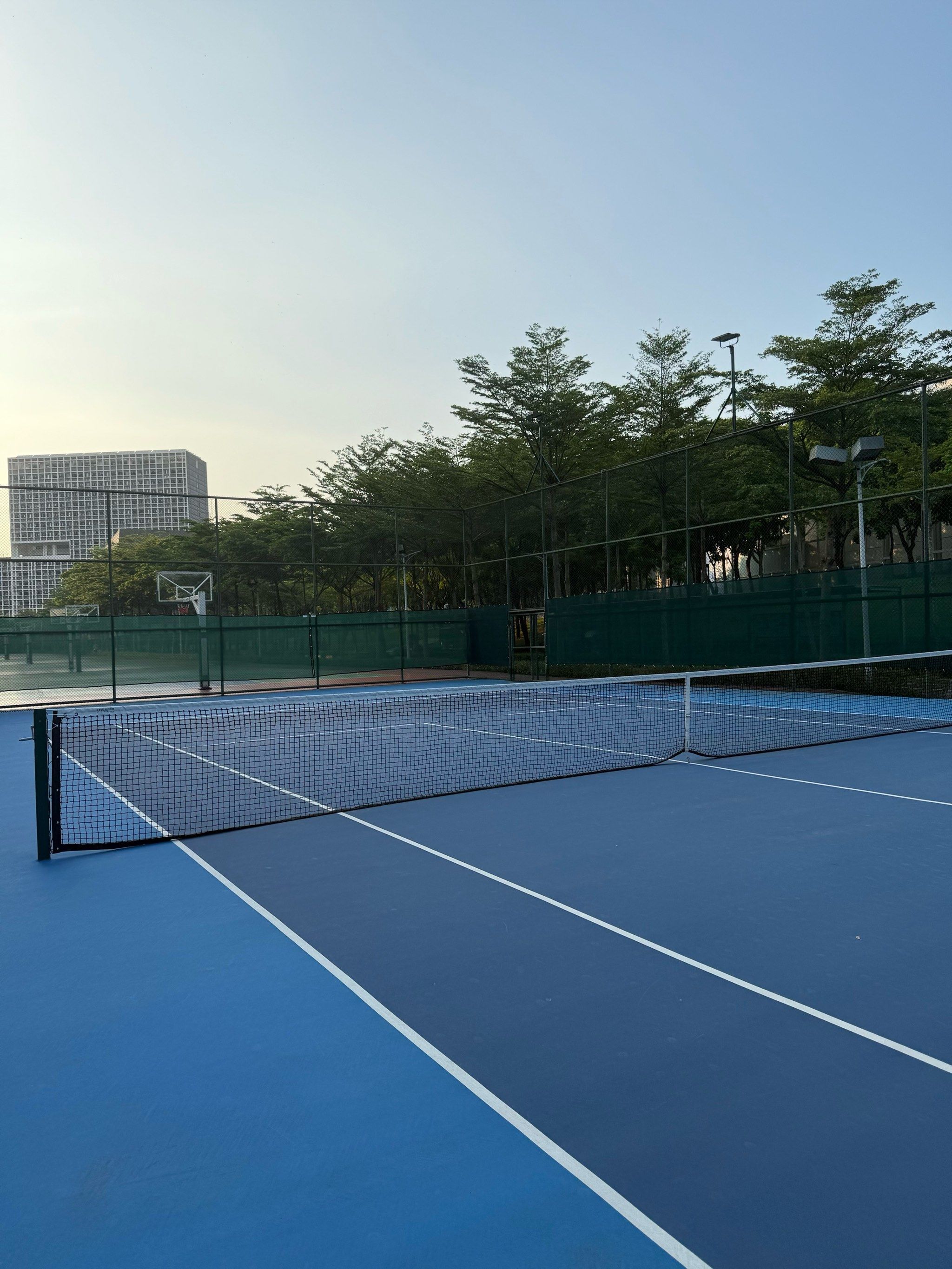 对未来的坚 对未来的坚